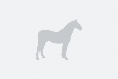 slider_horse_1.horse_nom}